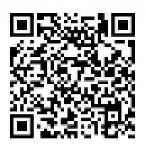 骑驴儿玩漂移 骑驴儿玩漂移